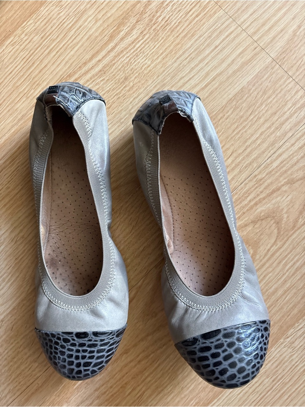 Rudsak ballet Flats with Croc-Print Cap real leather